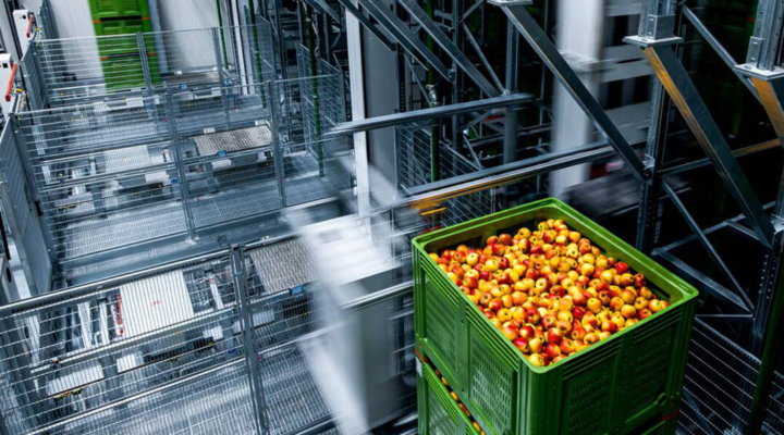 System Logistics Hochregallager f&uuml;r Lebensmittel: Maschinen bewegen Paletten mit Obstkisten im Vordergrund